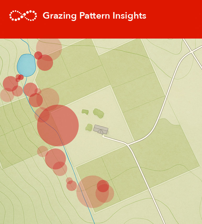 Grazing Pattern Insights