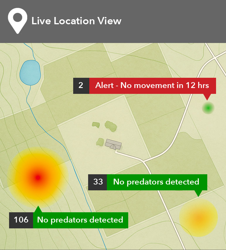 Live Location View